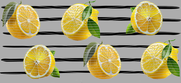 16oz delicacy-DE-395